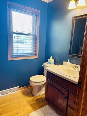 Combined shower/bathtub - Beautiful Home Available for EAA AirVenture 2026! (Oshkosh)