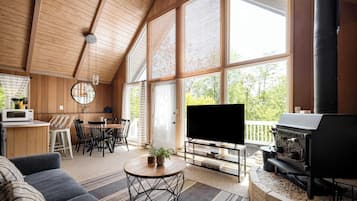 TV, fireplace, offices