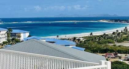 Duplex with frangipani tree, view of Saint Barthelemy, Baie Orientale beach