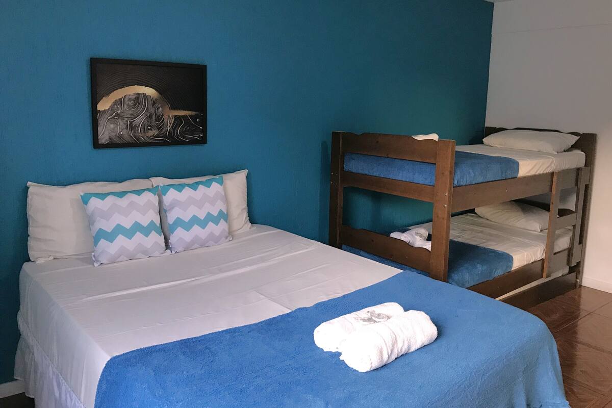 Une chambre avec un lit superposé, un lit simple et un mur bleu.