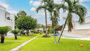 Un jardin bien entretenu, agrémenté de palmiers, d’un sentier et d’un espace piscine.
