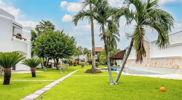 A well-maintained garden with palm trees, a pathway, and a pool area.