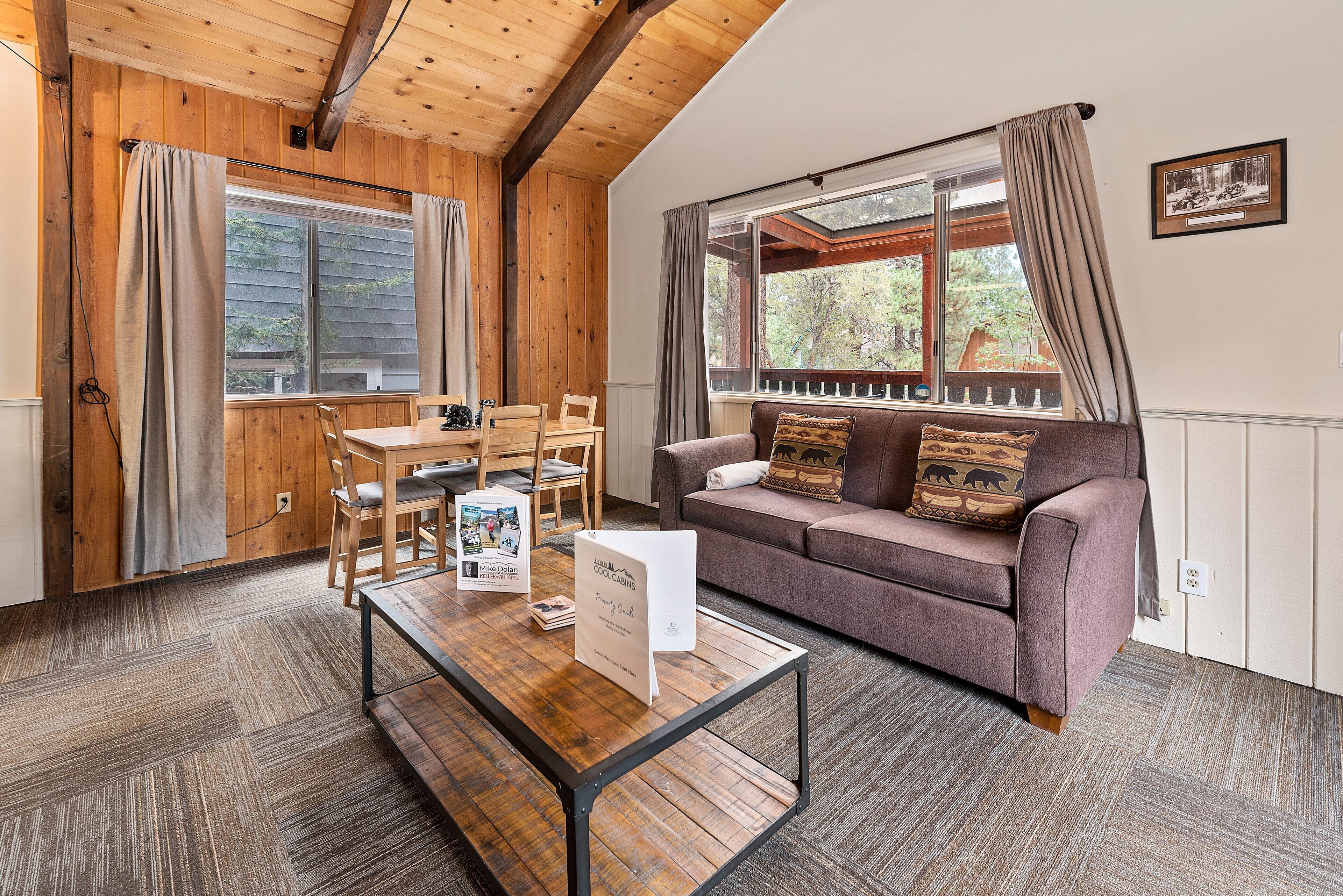 TV, fireplace, video-game console