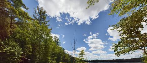 A lakeside picnic area with a wooden table and benches, surrounded by trees and a clear sky.