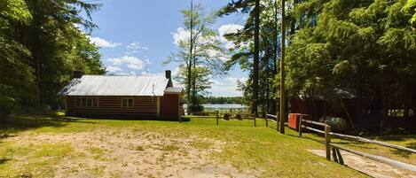 A rustic cabin with a metal roof, surrounded by a grassy area and dense trees.