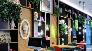 A modern interior with wooden shelves, colorful chairs, and hanging plants.