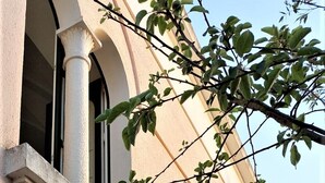 Um edifício com fachada bege, uma janela com padrão de grade e um galho com folhas verdes.