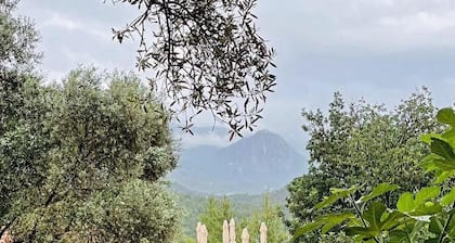 Antalya Bodrum Kayası Dağ Oteli