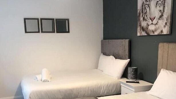 A bedroom with two beds, a nightstand, a lamp, and a painting of a tiger. - 6 Eyre Square Lane (Galway)