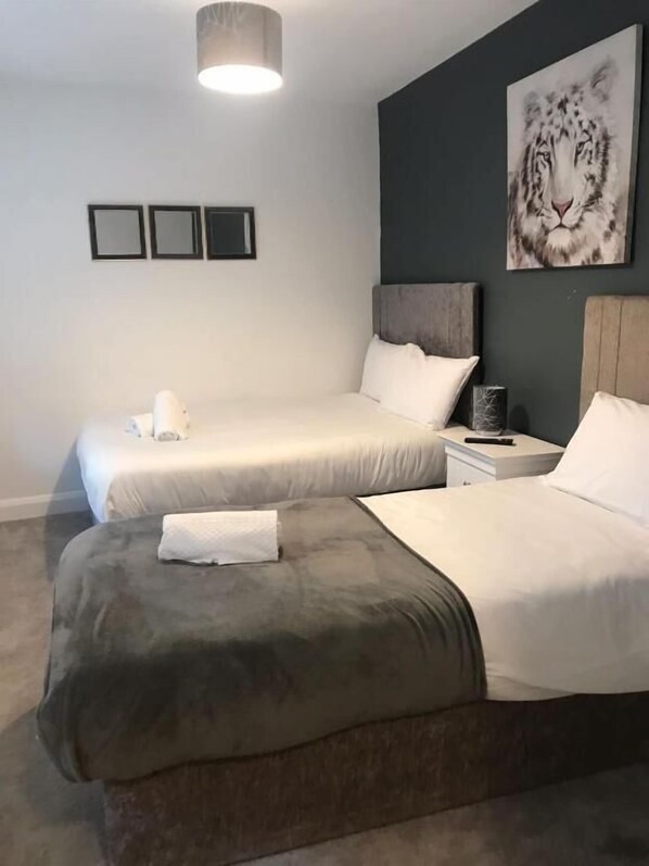 City House | 6 bedrooms, free WiFi - 6 Eyre Square Lane (Galway)