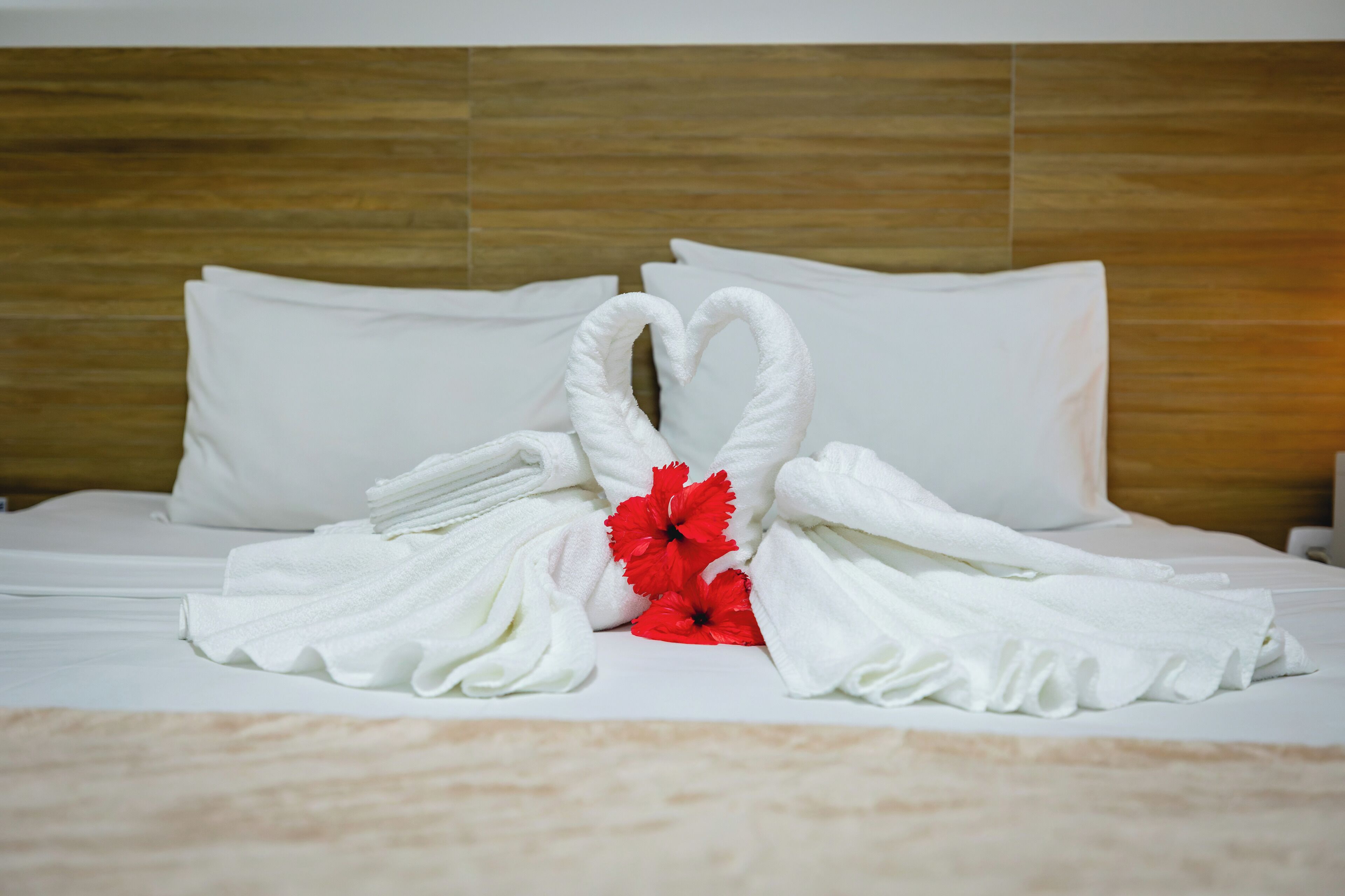 Photo - Arraial do Sol Beach Hotel