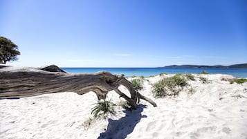 Plage, chaises longues, serviettes de plage