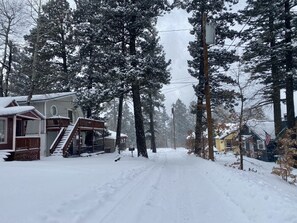 Stroll through a serene snow-covered neighborhood lined with evergreen trees and traditional homes with inviting porches.