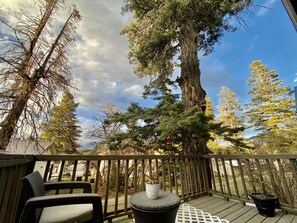 Property grounds - Charming& Cozy Cabin walking distance to downtown and trails (Cloudcroft)