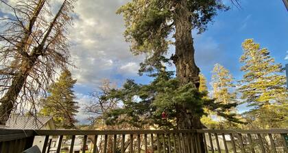 Charming& Cozy Cabin walking distance to downtown and trails