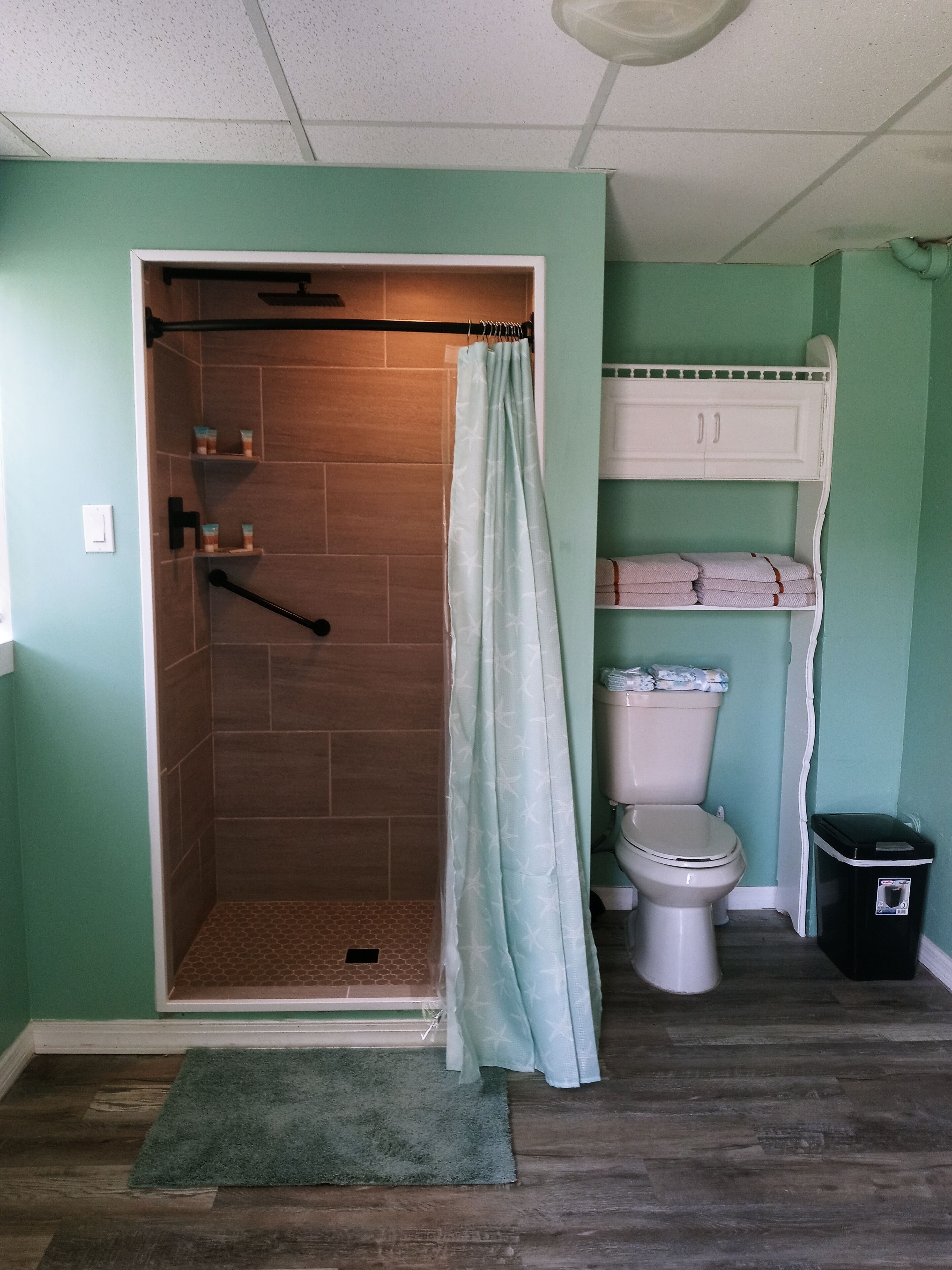 Shower, eco-friendly toiletries, hair dryer, towels
