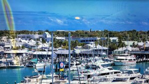 A marina with numerous boats docked, surrounded by buildings and greenery. -  Starfish Cottage - Summer fun.  Sleeps 4 -boating fishing and Lobster 🦞 season. (Summerland Key)