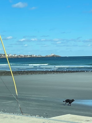Nära stranden