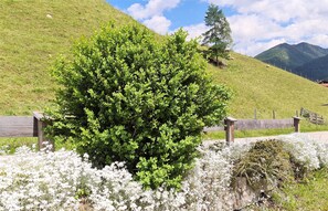 Property grounds - Renovated vacation apartment Rosi in the 1st mountaineering village in Germany Ramsau (Ramsau)