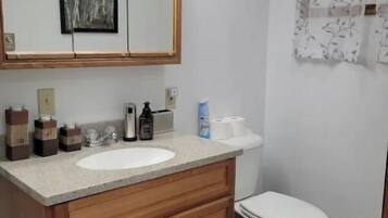 Une salle de bain avec un meuble-lavabo en bois, un évier, un miroir et des toilettes.