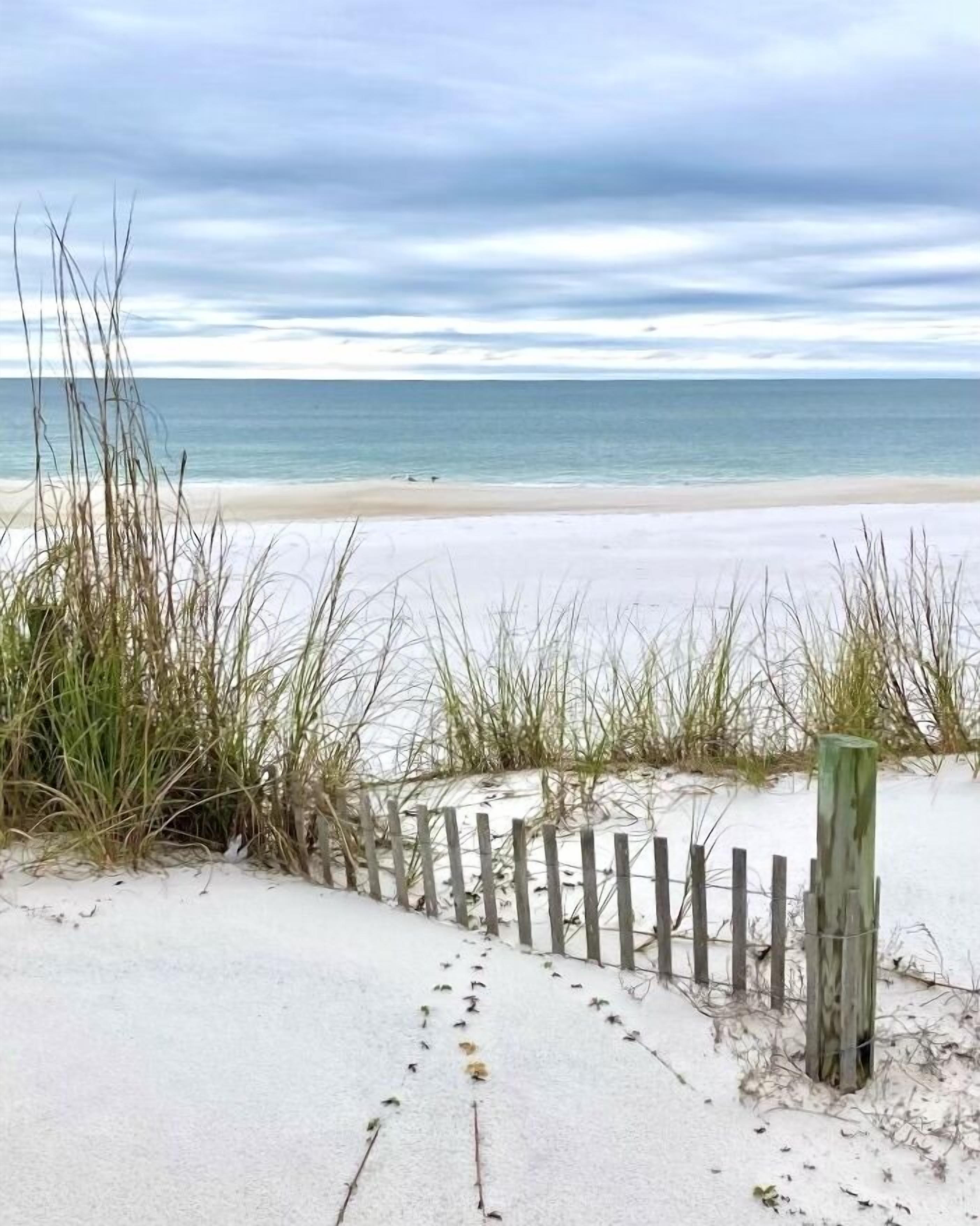 A sandy beach with a wooden fence and tall grasses.