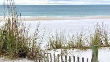 A sandy beach with a wooden fence and tall grasses.
