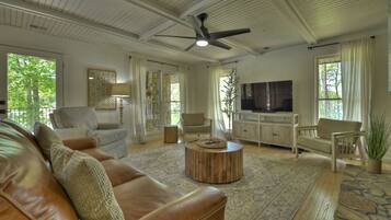 Smart TV, fireplace, books