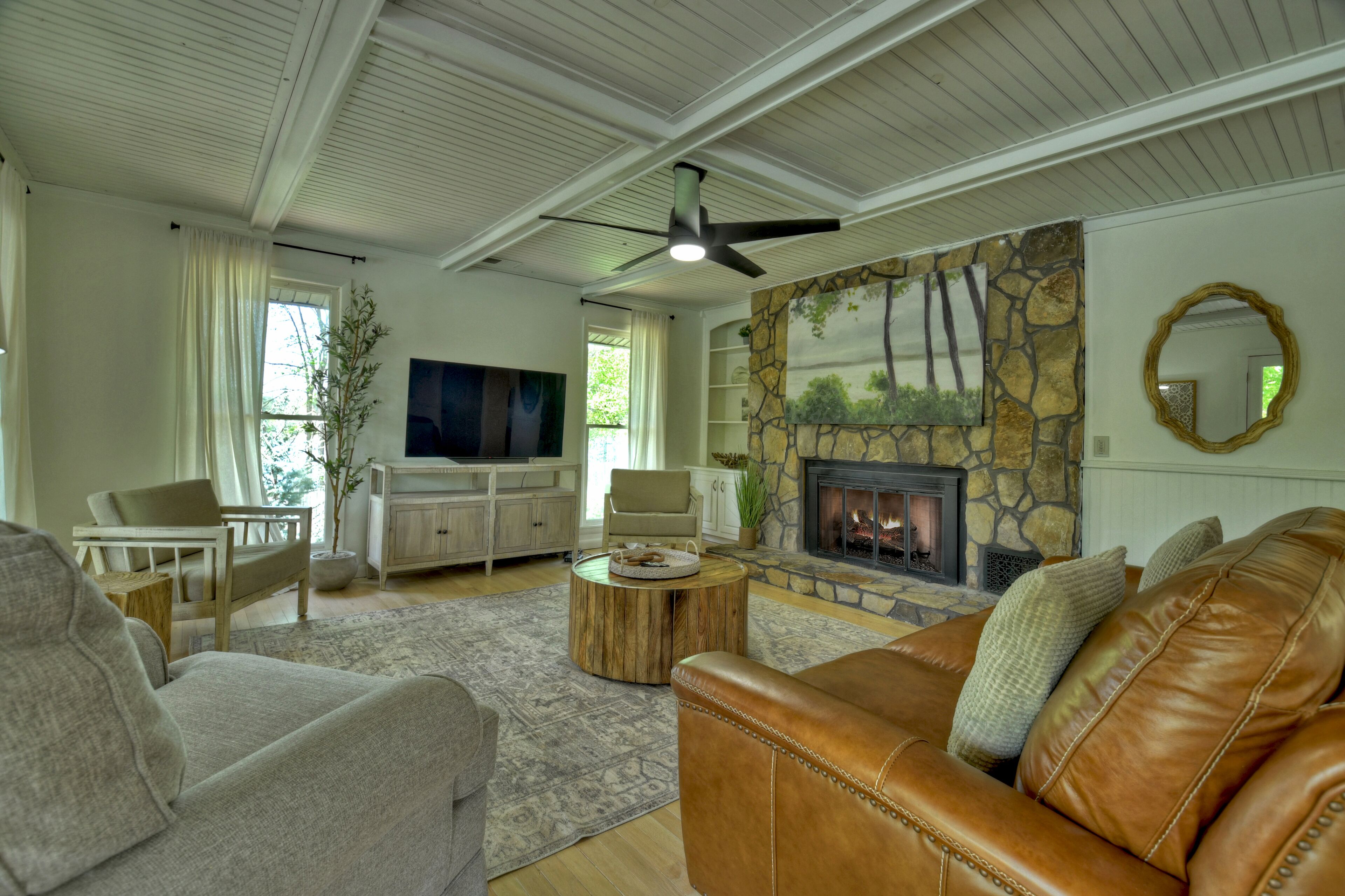 Smart TV, fireplace, books