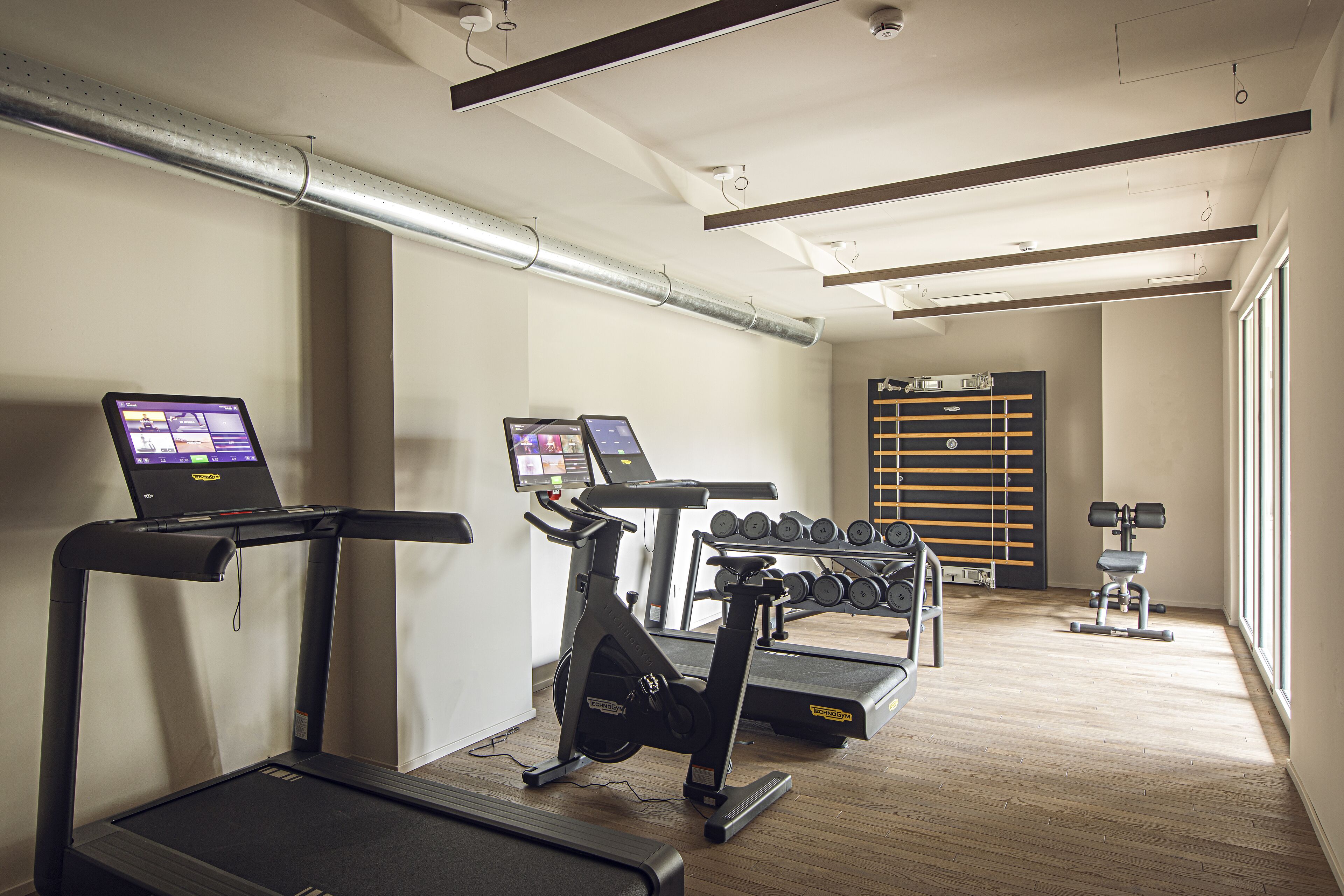 Un gimnasio con cintas de correr, elípticas y mancuernas.