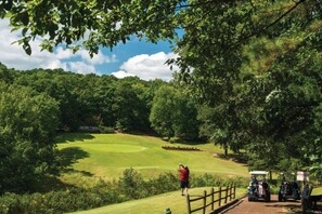 Golfers can enjoy a peaceful game on the well-maintained fairway surrounded by trees.