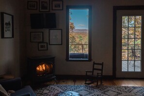 Smart TV, fireplace, books