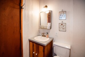 Combined shower/bathtub, hair dryer, towels, soap - Cozy Mountain Escape (Mount Jackson)