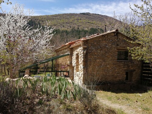 Mazet with private pool in the Ventoux