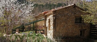 Mazet with private pool in the Ventoux