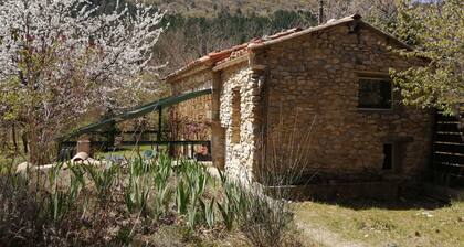 Mazet with private pool in the Ventoux
