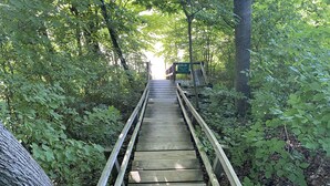 Ein hölzerner Steg führt durch ein bewaldetes Gebiet, mit einem Schild, das den Weg zu New Circle Beach weist.