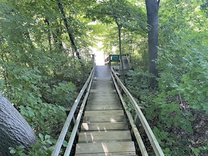 Walk along the winding boardwalk through a serene forest, surrounded by lush greenery and safe railings.
