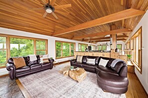 Smart TV, fireplace, Netflix, books