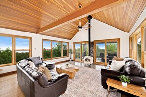 TV connectée, cheminée, Netflix, livres