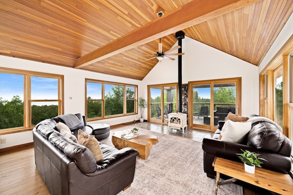 Smart TV, fireplace, Netflix, books