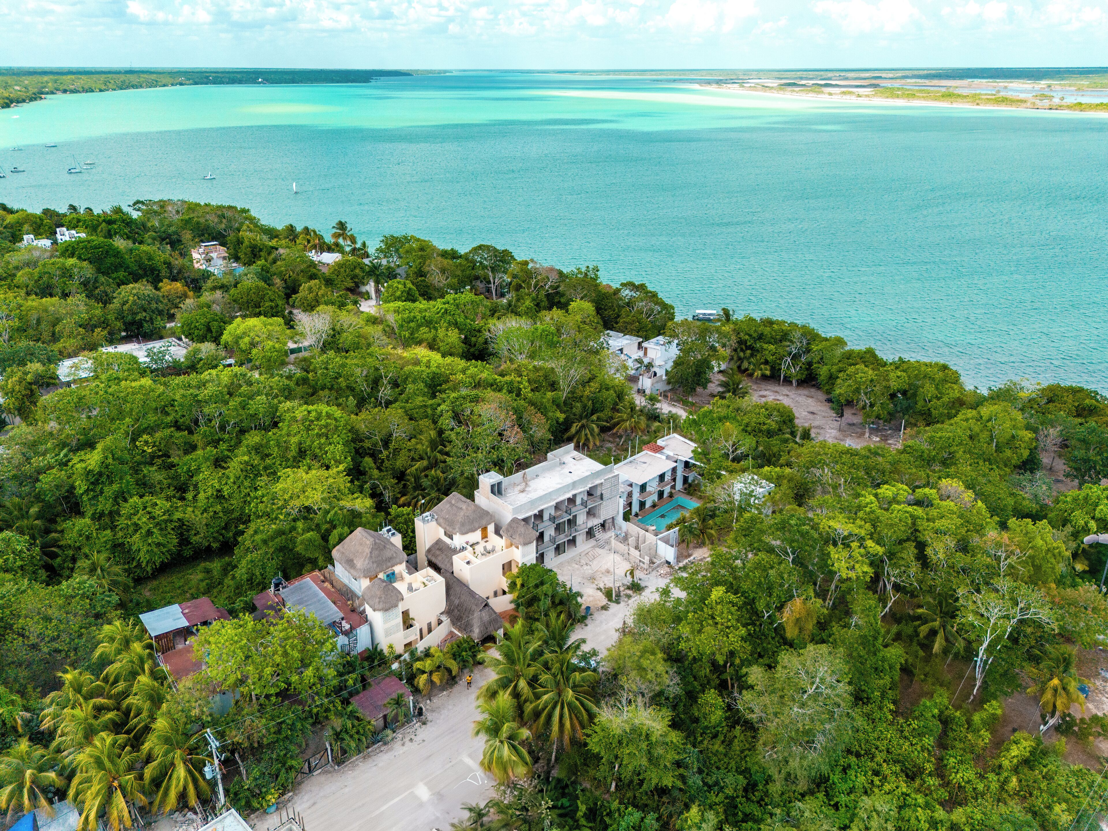 Foto - Alma de Zorro