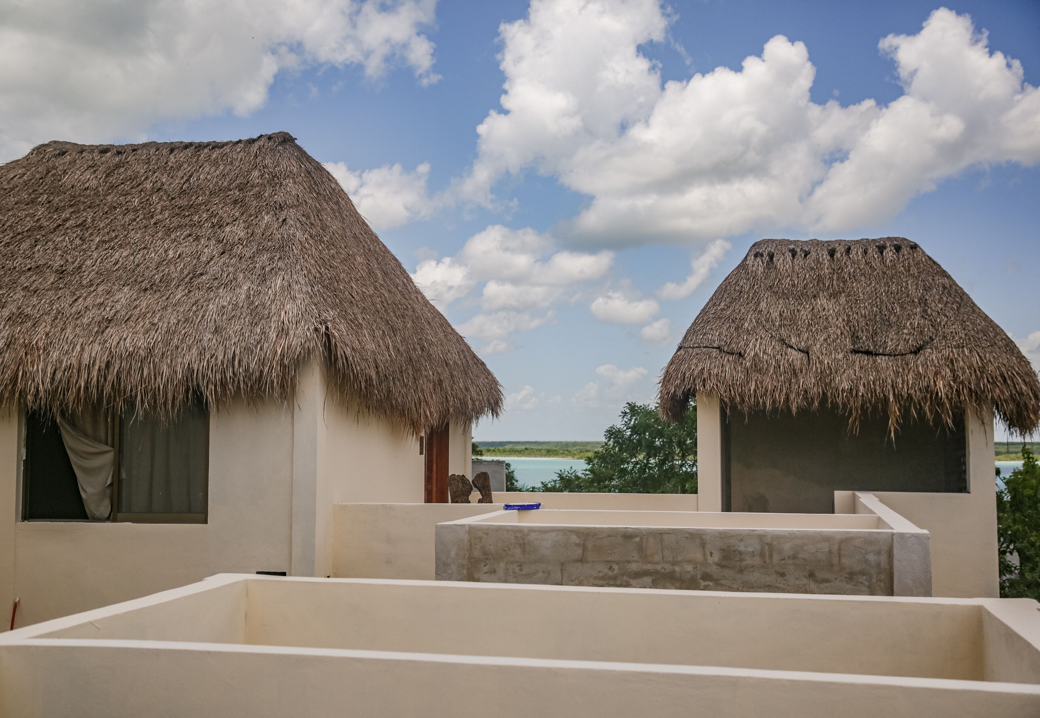 Foto - Alma de Zorro