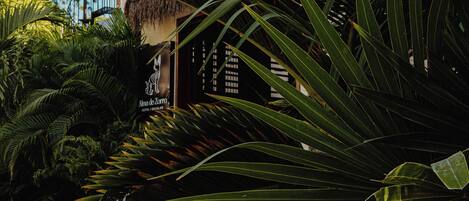 Un resort tropical con un edificio de techo de paja, palmeras y un letrero que dice 'Alma do Zorro'.