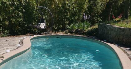 Studio in a green cocoon by the pool