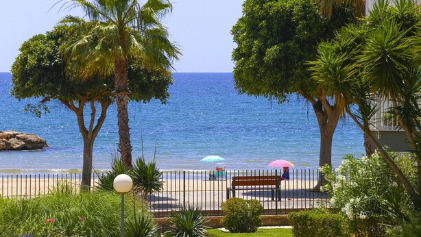 Une vue sur la côte, avec une plage, des palmiers et un banc.