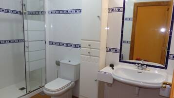 Een douche, een haardroger, een bidet, handdoeken