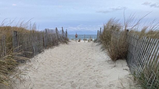 A sandy beach path flanked by wooden fences and tall grasses, leading to the ocean.