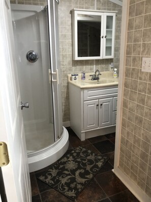 Shower, hair dryer, toilet paper