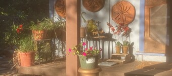 Cottage nestled in trees and goldfish ponds