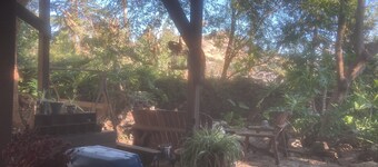 Cottage nestled in trees and goldfish ponds